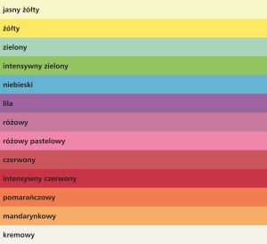 Lettura Papier ksero A4 80g mandarynkowy 500 arkuszy 2