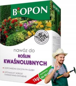 Nawóz do roślin kwaśnolubnych 1kg optymalny wzrost i intensywne kwitnienie 1