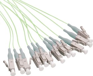 Fiber Pigtail Set 12x LC OM5 1