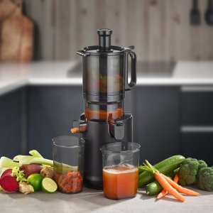 CASO Juice Fit Pro 13