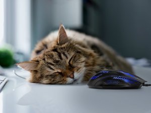 SVEN RX-G720 mysz komputerowa 7