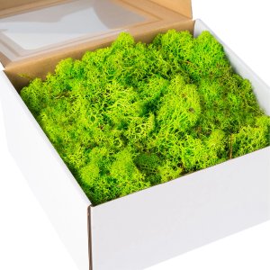 Mech chrobotek naturalny ozdobny reniferowy trawiasty do rękodzieła 200g 1