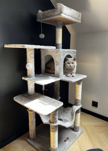 DRAPAK DLA KOTA DUŻY XL 6 POZIOMÓW WYSOKI LEGOWISKO SŁUPEK DOMEK 143cm 15