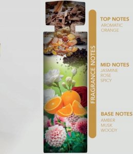 NYLAA Western Oud EDP spray 100ml 6