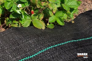 SHARK Tools Agrotkanina Mata ściółkująca 1.6x100m 70g/m2 Shark Tools 12