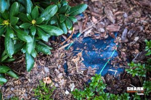 SHARK Tools Agrotkanina Mata ściółkująca 1.6x100m 70g/m2 Shark Tools 7