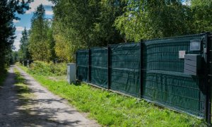 Zestaw siatka cieniująca 90% 1.5 x 50m Shark + 200 sztuk opasek zaciskowych Zielony 11