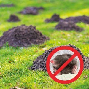 Siatka na krety czarna (średnica oczka 16x16mm) + szpilki 2 x 200 m + 100szt szpilek L190 8