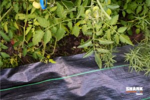 Agrotkanina mata ściółkująca 1.1x100m 70g/m2 Shark Tools 10