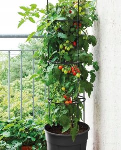 Doniczka do roślin pnących z drabinką, wys. 115 cm 3