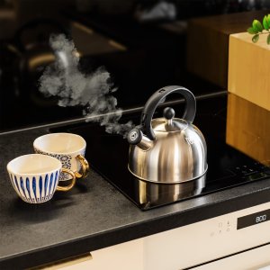 Czajnik ze stali nierdzewnej Teesa z gwizdkiem 2L gaz indukcja 5