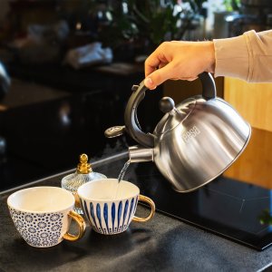 Czajnik ze stali nierdzewnej Teesa z gwizdkiem 2L gaz indukcja 6