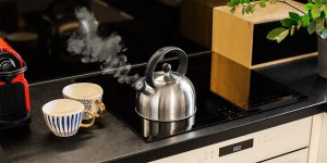 Czajnik ze stali nierdzewnej Teesa z gwizdkiem 2L gaz indukcja 7