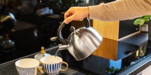 Czajnik ze stali nierdzewnej Teesa z gwizdkiem 2L gaz indukcja 8