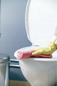 Vileda Ścierka Microtuff Plus Czerwona 169924... 2