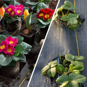 Agrotkanina Heckermann 1,6x10m 70g/m2 Czarno-żółta 11