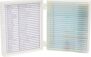 Zestaw 25x Próbki Preparaty do Mikroskopu Biologicznego Anatomia Botanika 2