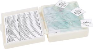 Zestaw 25x Próbki Preparaty do Mikroskopu Biologicznego Anatomia Botanika 6