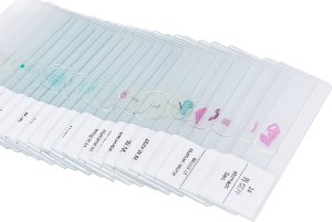 Zestaw 25x Próbki Preparaty do Mikroskopu Biologicznego Anatomia Botanika 8