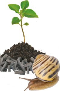 Bros Naturalnie - Bariera na ślimaki (1 kg) 3