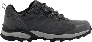 Buty trekkingowe męskie Jack Wolfskin REFUGIO TEXAPORE LOW M (4049851_6945) 41 3