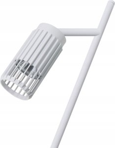 Natur Planet Szczotka do masażu z agawy 5