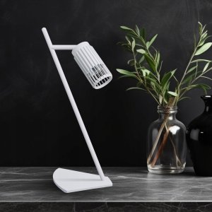 Natur Planet Szczotka do masażu z agawy 6