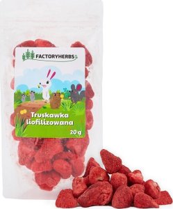 FACTORYHERBS Truskawka liofilizowana 20g 1