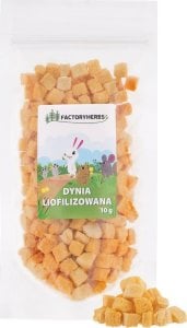 FACTORYHERBS Dynia liofilizowana 10g 1