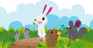 FACTORYHERBS Jeżyna liofilizowana 20g 2