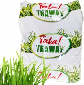 Nasiona trawy 2 kg Idealny trawnik w Twoim ogrodzie 1