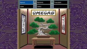 OMEGA 6 The Triangle Stars (NSW) 3