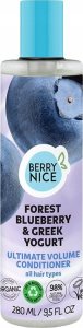 Berry Nice Odżywka do włosów forest bueberry & greek yogurt 280ml 1