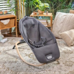 INGENUITY Rocking Seat EVERY SEASON Wesley(tm) 0 - 30 m., GREY, 16855 3