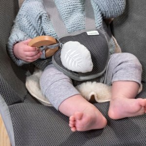 INGENUITY Rocking Seat EVERY SEASON Wesley(tm) 0 - 30 m., GREY, 16855 4