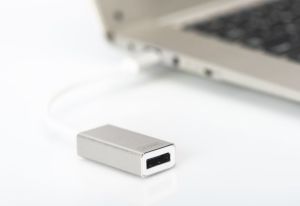 Adapter USB Digitus USB-C - DisplayPort Srebrny  (DA-70844) 2
