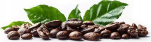 Zestaw Kawa ziarnista 1kgX2 BRAZILIA PARANA/RIO ROAST Świeżo Palona do ekspresu + GRATIS 10