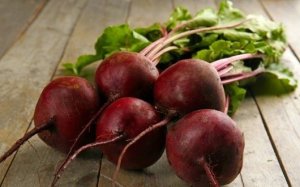 Toraf Nasiona warzyw | Burak Ćwikłowy D'Egypte | Opakowanie 10g 11