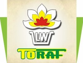 Toraf Nasiona warzyw | Burak Ćwikłowy D'Egypte | Opakowanie 10g 8