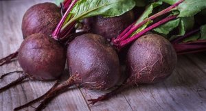 Toraf Nasiona warzyw | Burak Ćwikłowy D'Egypte | Opakowanie 10g 9