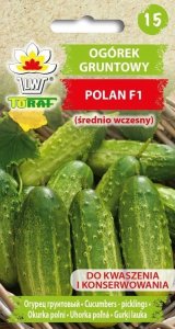 Toraf Nasiona warzyw | Ogórek Polan F1 | Opakowanie 5g 1
