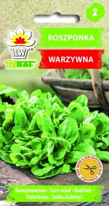 Toraf Nasiona warzyw | Kalafior Bora | Opakowanie 1g 13