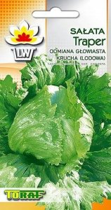 Toraf Nasiona warzyw | Kalafior Bora | Opakowanie 1g 14