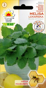 Toraf Nasiona warzyw | Kalafior Bora | Opakowanie 1g 19