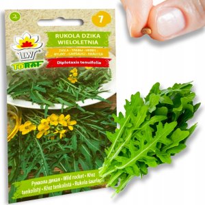 Toraf Nasiona warzyw | Kalafior Bora | Opakowanie 1g 25