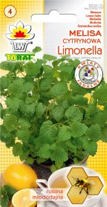 Toraf Nasiona warzyw | Kalafior Bora | Opakowanie 1g 37