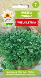 Toraf Nasiona warzyw | Kalafior Bora | Opakowanie 1g 40