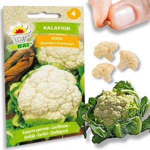 Toraf Nasiona warzyw | Kalafior Bora | Opakowanie 1g 4