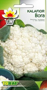 Toraf Nasiona warzyw | Kalafior Bora | Opakowanie 1g 9