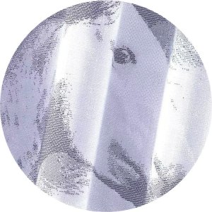 Firanka Konie 250 x 150 cm DomoweTekstylia | WN367K 150 5